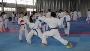 karate