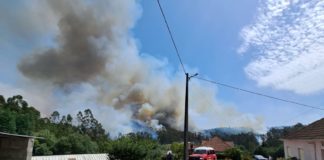 Mais de centena e meia de operacionais combate incêndio que começou em Vale do Feto