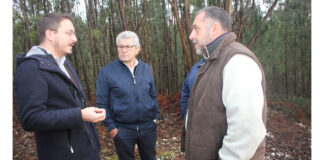 Cidadãos mobilizam-se para mudar a lei sobre exploração de caulinos