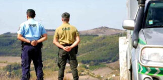Incendiário detido depois de atear fogo no concelho de Ansião e confessar o crime