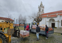 Empresário do Montijo paga a equipa para ajudar vítimas da tempestade