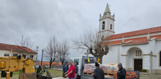 Empresário do Montijo paga a equipa para ajudar vítimas da tempestade
