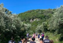 Ansião celebra feriado municipal com programa institucional e arraial solidário